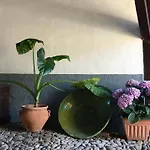 Solana , Casco Histórico Apartamento