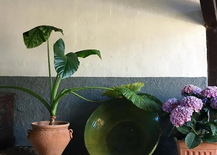 Solana , Casco Historico Apartament