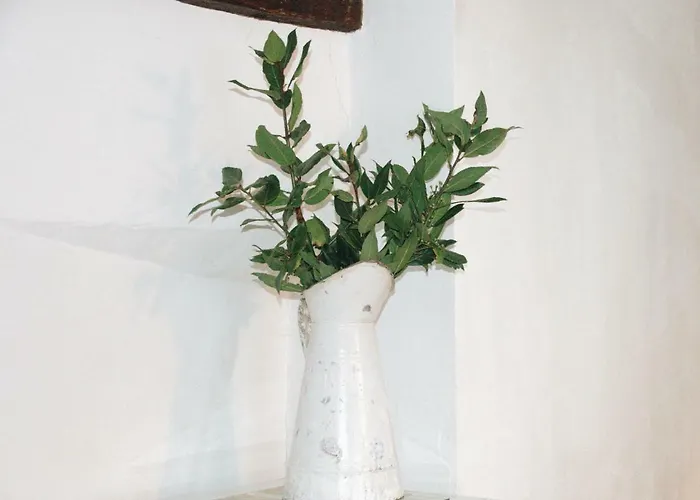 Solana , Casco Historico *